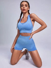 Nylon Sports Outfit Set Scoop Neck Tank and Shorts Active Yoga Gym 2 piece Set