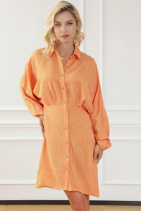 Texture Button Up Balloon Sleeve Shirt Dress