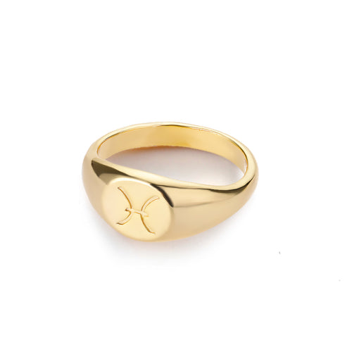 Minimalist 12 Constellation Rings For Women Zodiac Sign Cute Ring