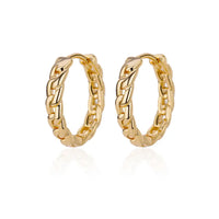 Stainless Steel Hoop Earrings for Women Luxury Gold Plated Earrings