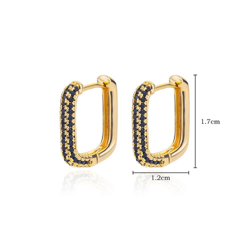 Stainless Steel Hoop Earrings for Women Luxury Gold Plated Earrings