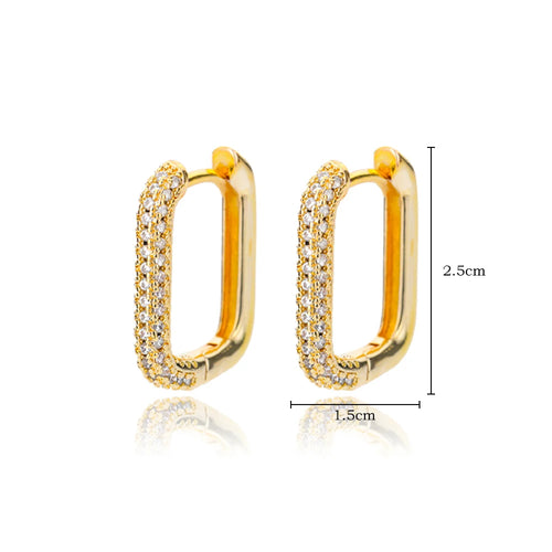 Stainless Steel Hoop Earrings for Women Luxury Gold Plated Earrings