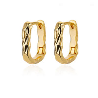 Stainless Steel Hoop Earrings for Women Luxury Gold Plated Earrings