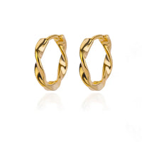 Stainless Steel Hoop Earrings for Women Luxury Gold Plated Earrings